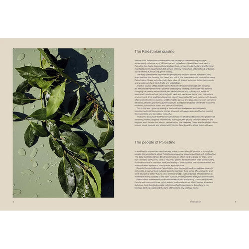 Boustany Recipe Book